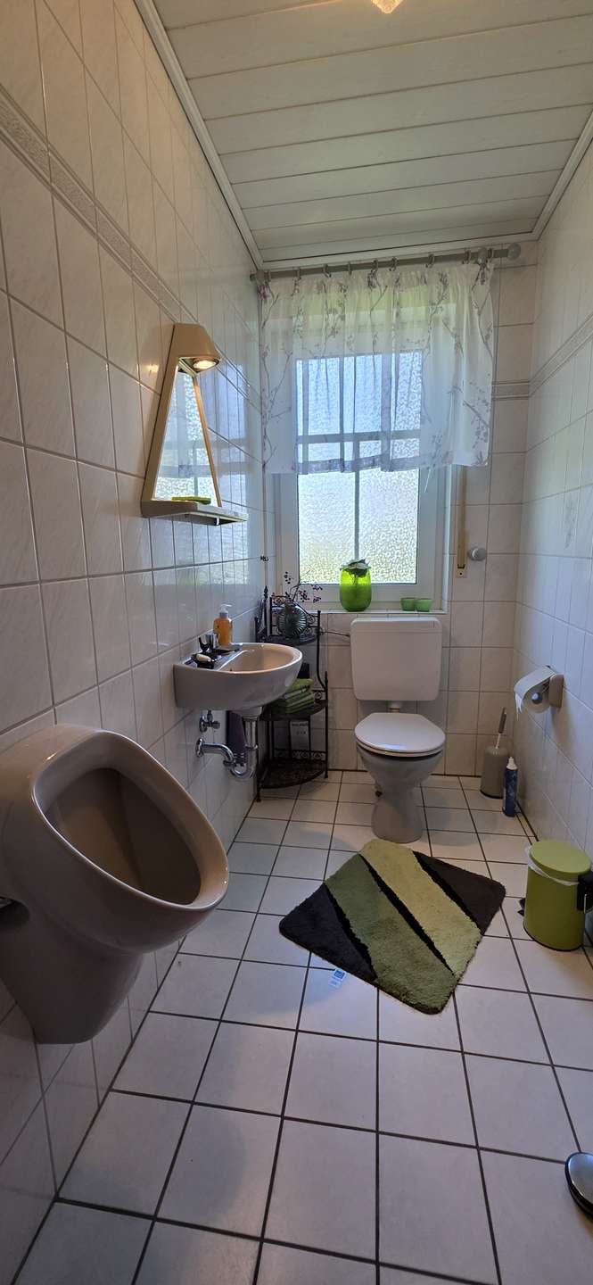 Charakteristisches modernes Fehnhaus mit großem Grundstück