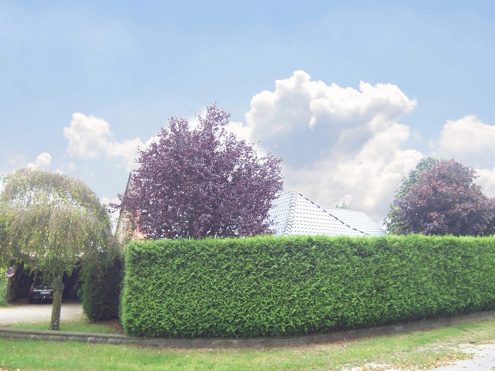 Käufer Provisionsfrei! Großzügiges Familienhaus mit Charme, Garten und Kamin – mitten in Haren