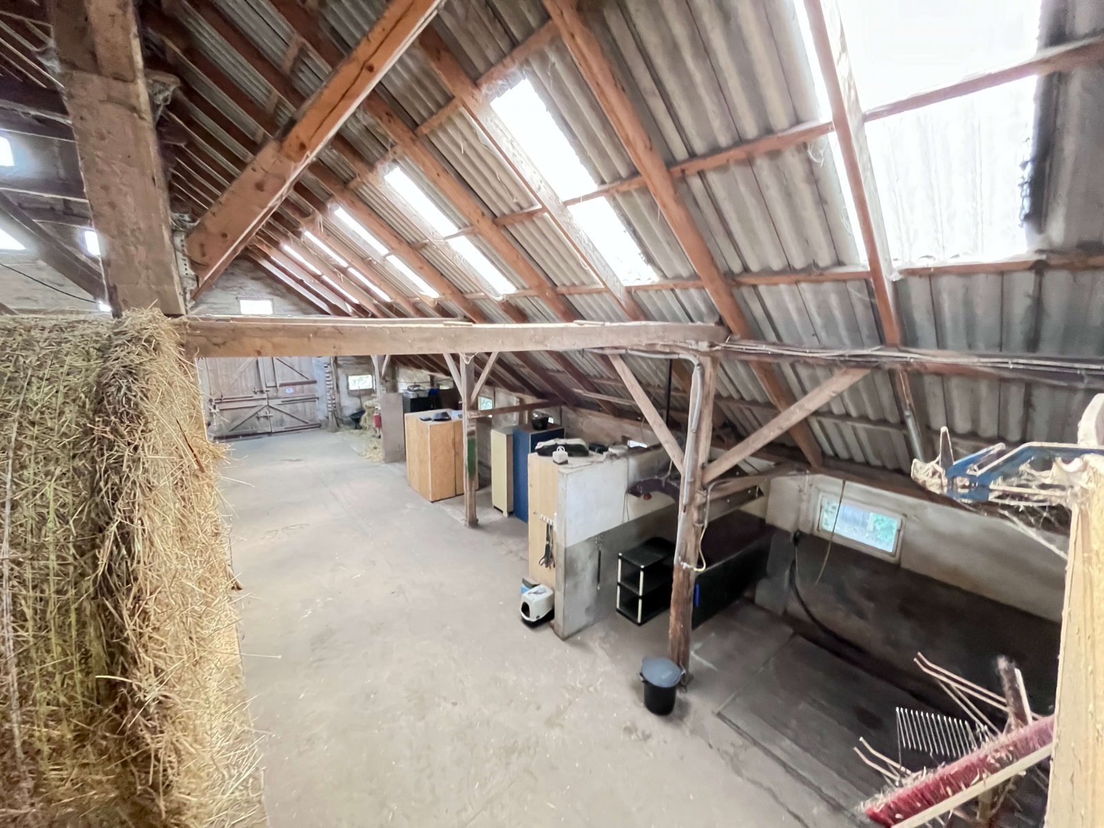 Ein Eldorado für Pferdesportler - Weitläufiges Anwesen mit Reithalle, Stallungen und PV-Anlage!