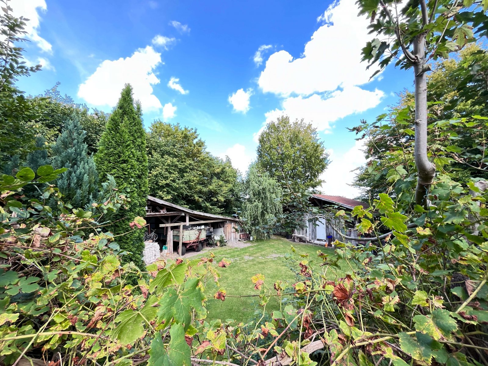 Ein Eldorado für Pferdesportler - Weitläufiges Anwesen mit Reithalle, Stallungen und PV-Anlage!