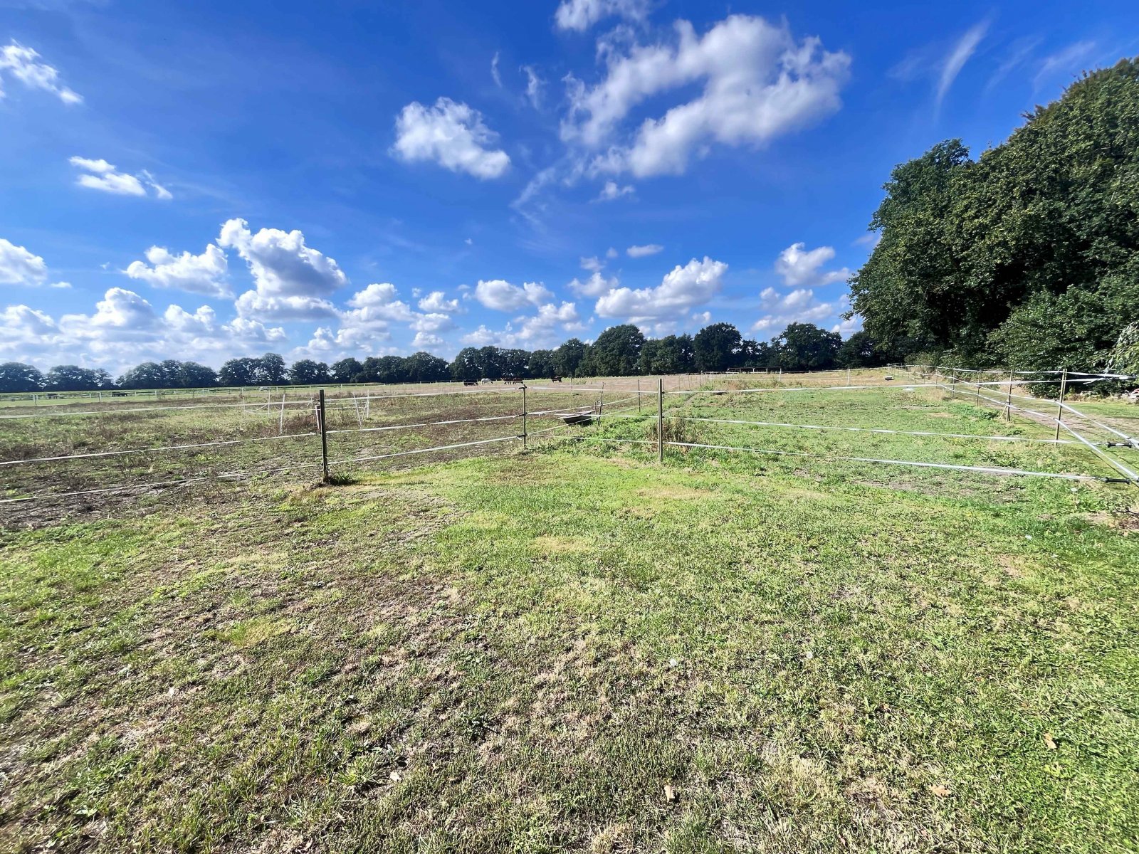 Ein Eldorado für Pferdesportler - Weitläufiges Anwesen mit Reithalle, Stallungen und PV-Anlage!