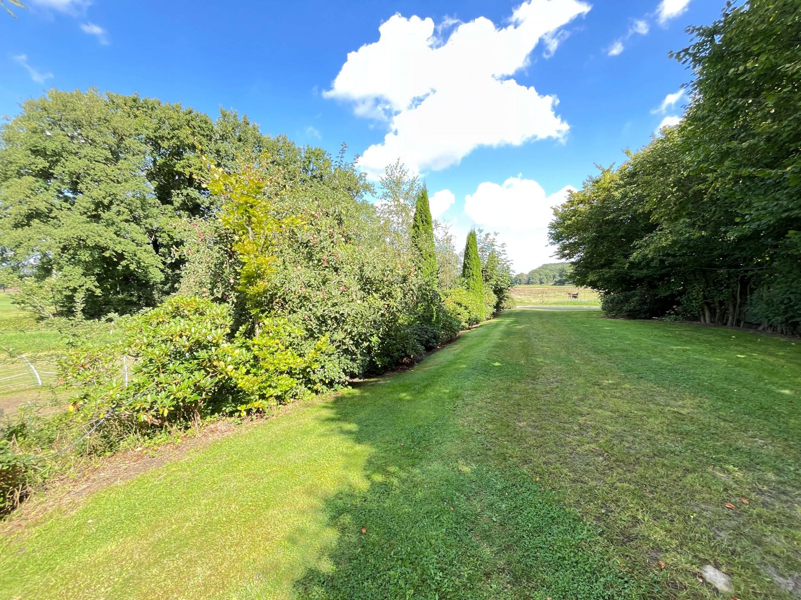 Ein Eldorado für Pferdesportler - Weitläufiges Anwesen mit Reithalle, Stallungen und PV-Anlage!