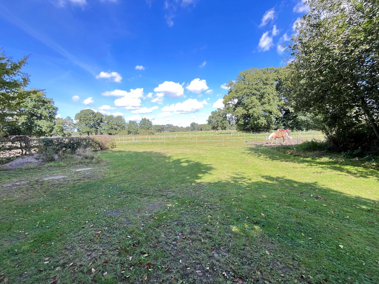 Ein Eldorado für Pferdesportler - Weitläufiges Anwesen mit Reithalle, Stallungen und PV-Anlage!