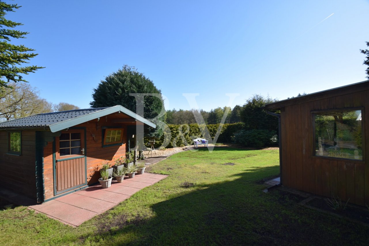 Blick in den Garten