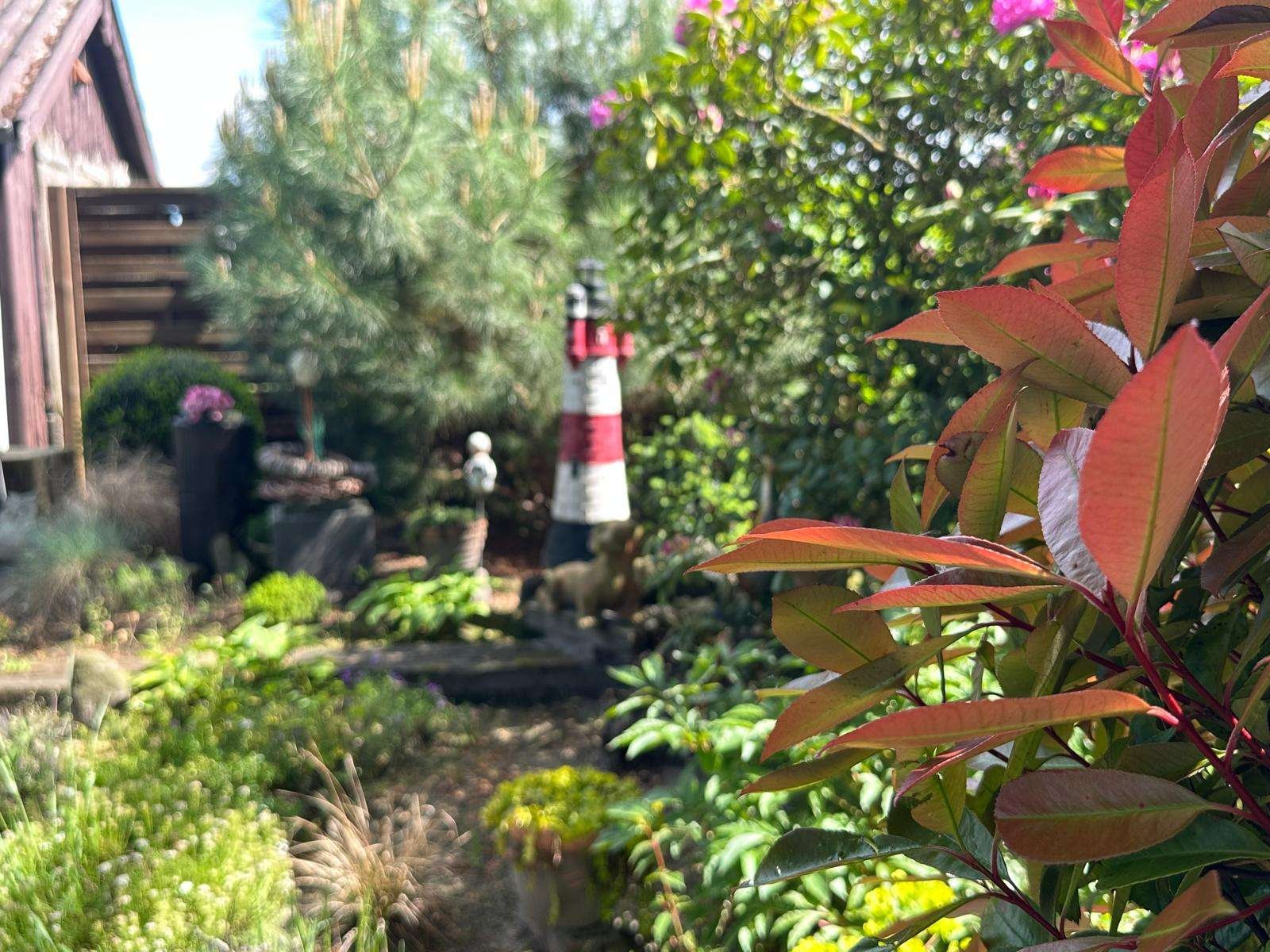 Garten Garten