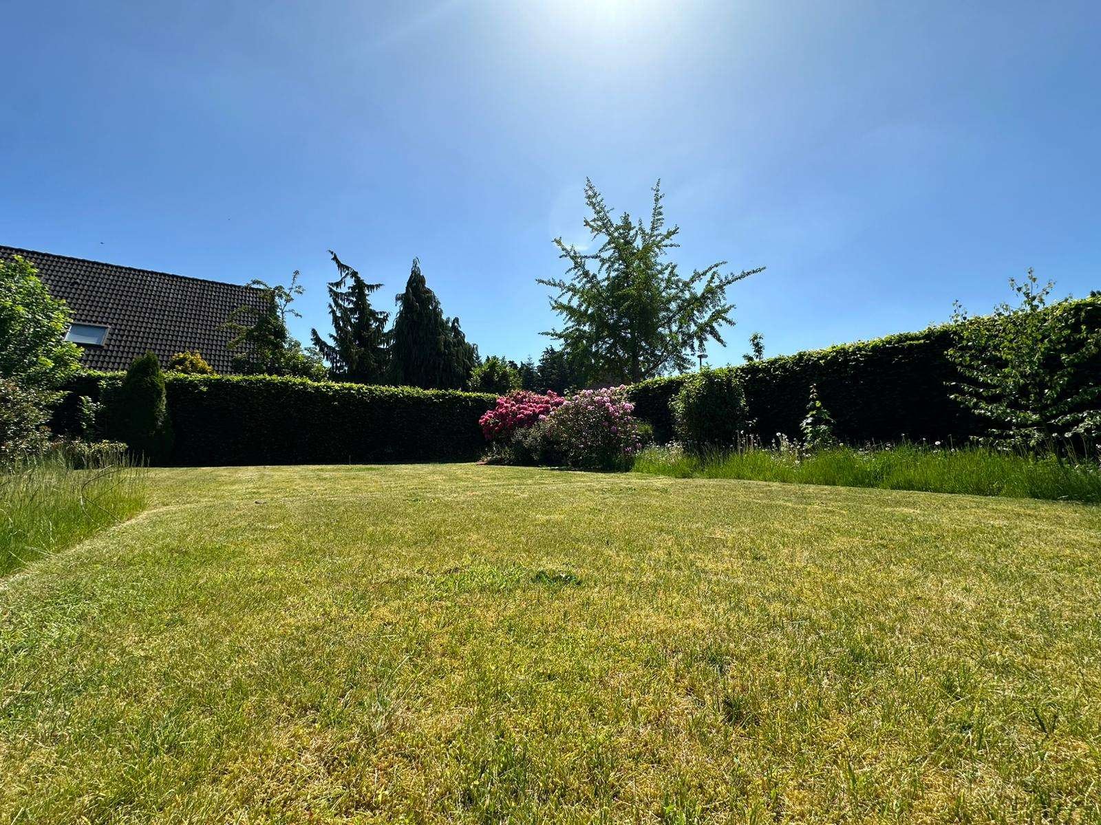 Garten Garten