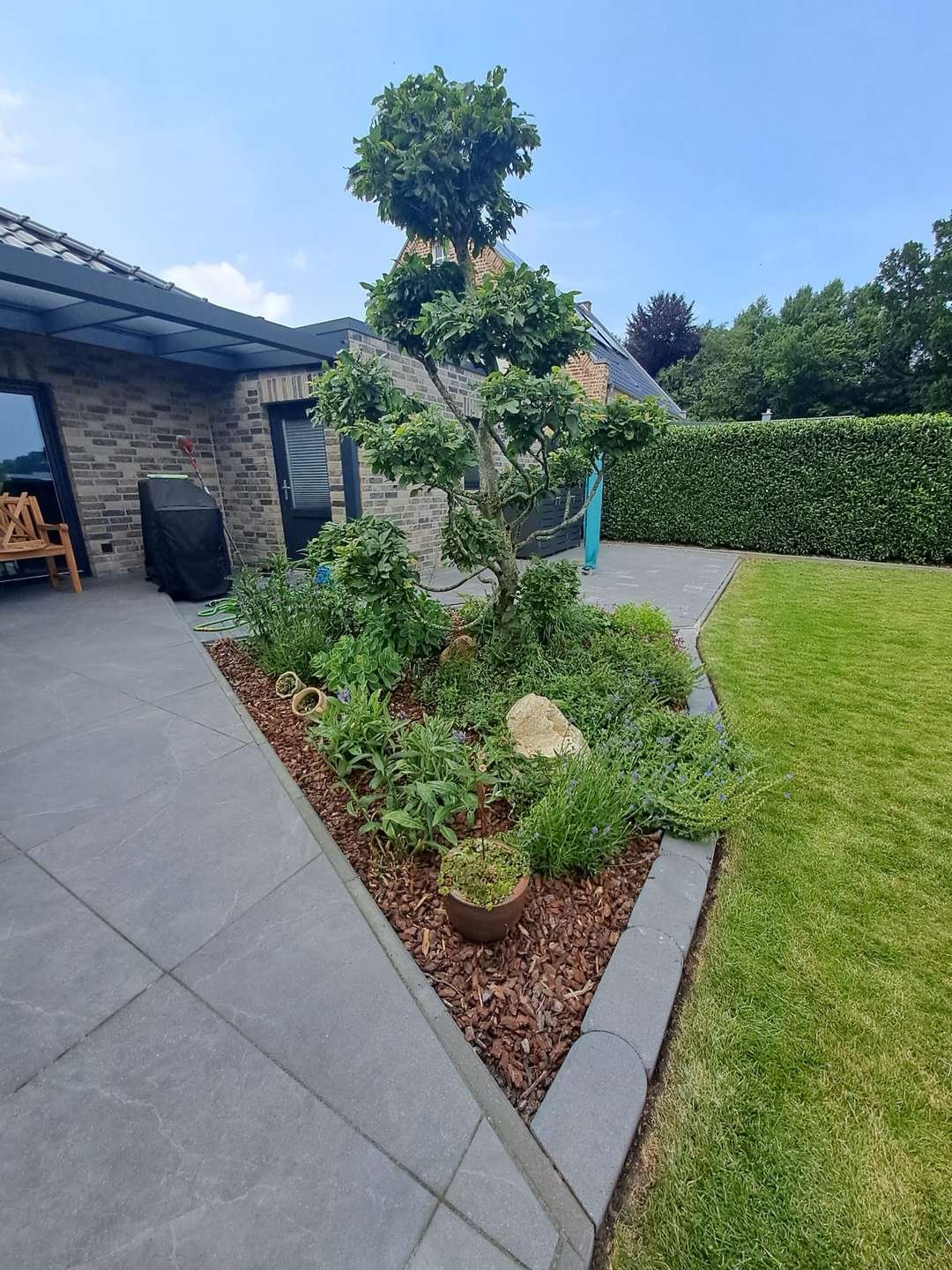 Garten 