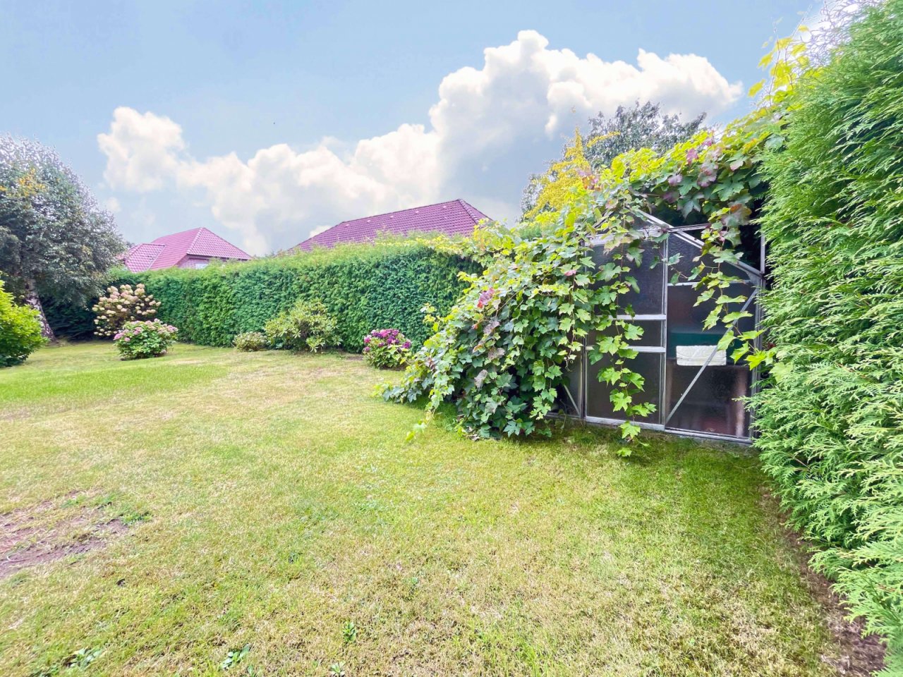 Garten Gewächshaus