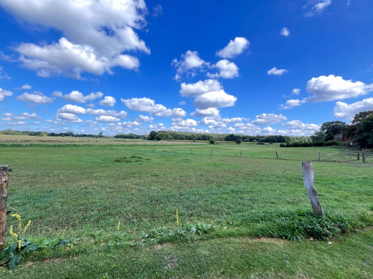 Grünflächen Grünflächen