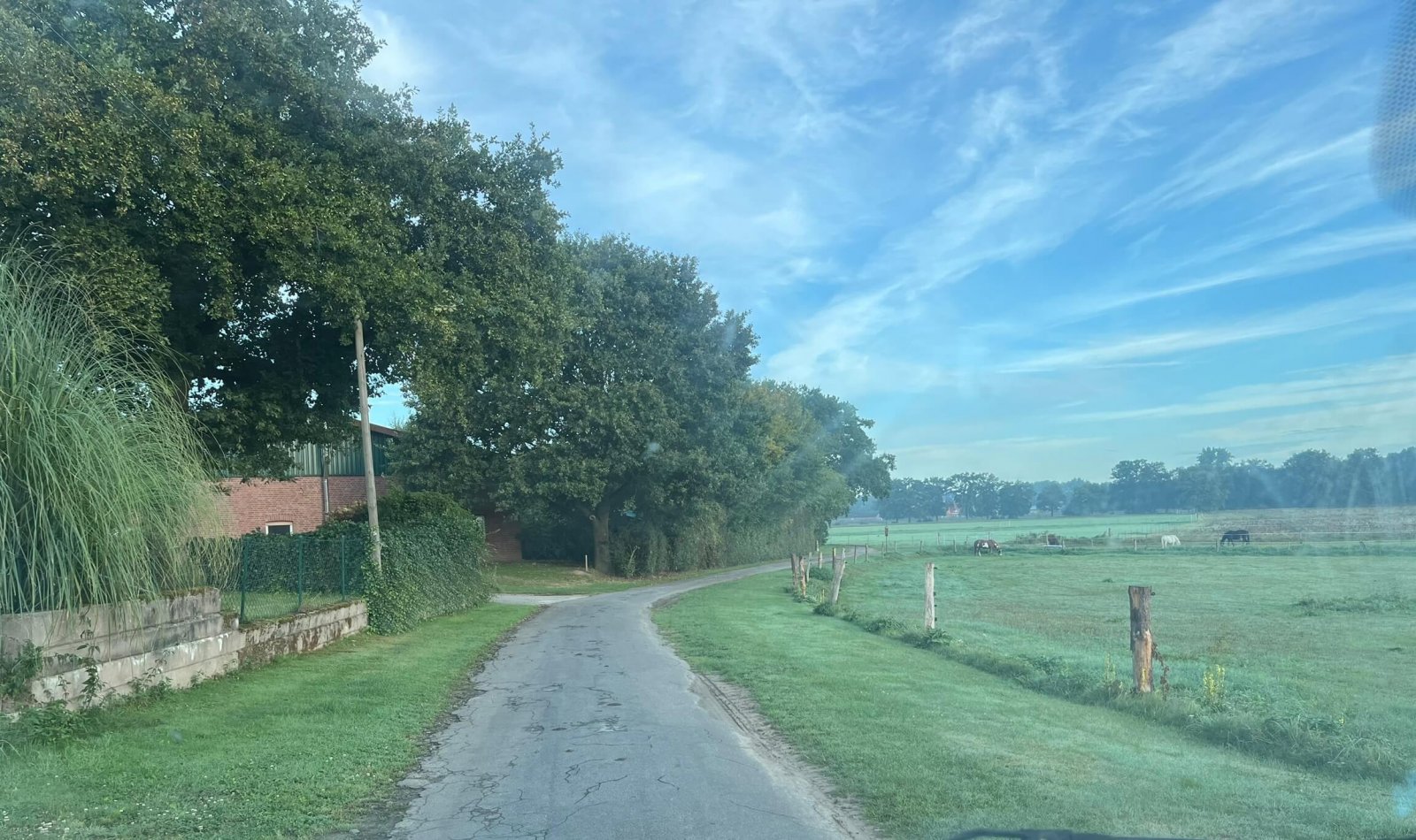 Lage in grüner Natur Lage in grüner Natur