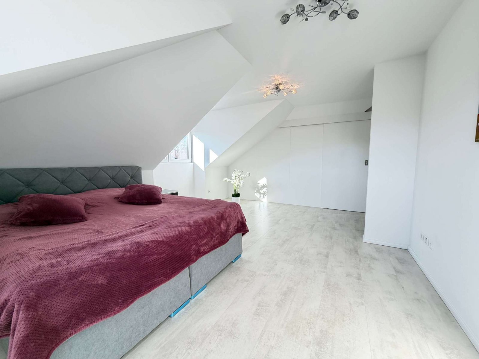 De koper betaalt geen commissie! Modern wonen op het hoogste niveau – uw droombungalow in Lathen.