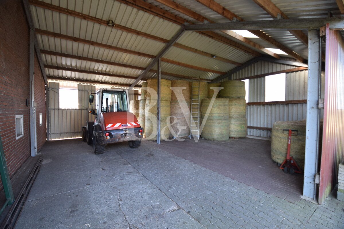 Volledig afgelegen locatie - boerderij of manege nabij Haselünne met aangrenzende weide te koop.