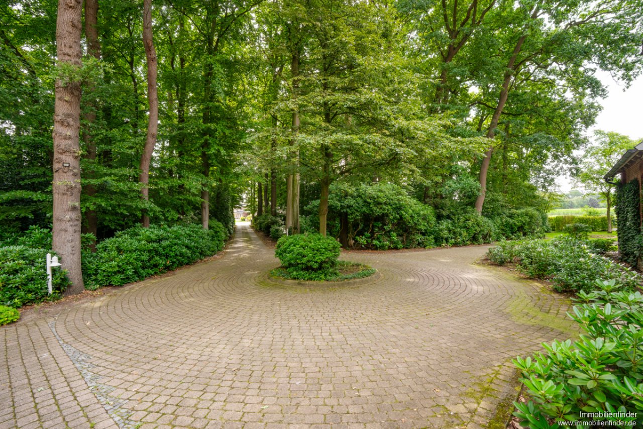 Allee mit PKW-Rondell Allee mit PKW-Rondell