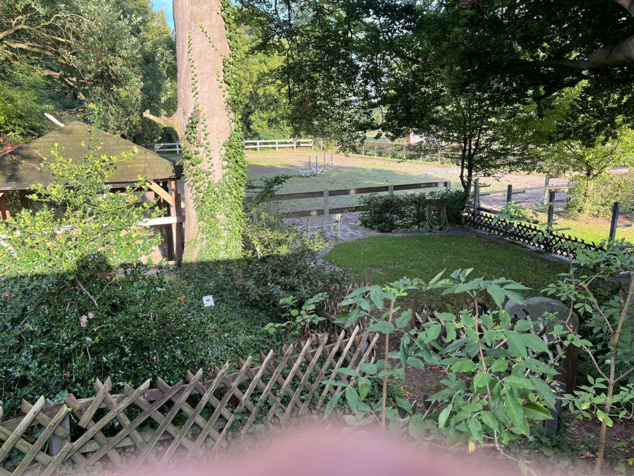 Blich auf den Außenreitplatz Blich auf den Außenreitplatz
