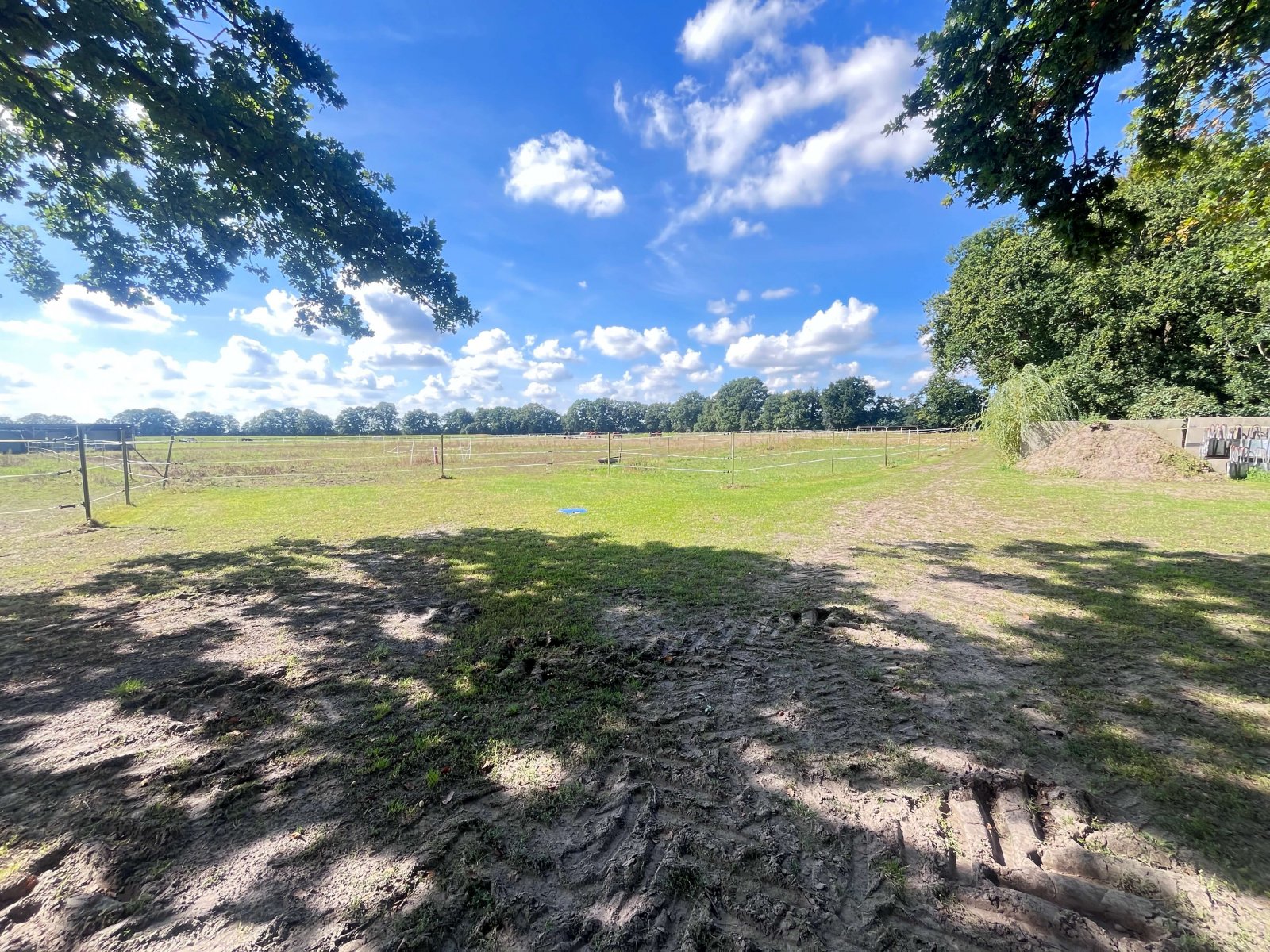 Blick ins Grüne Blick ins Grüne