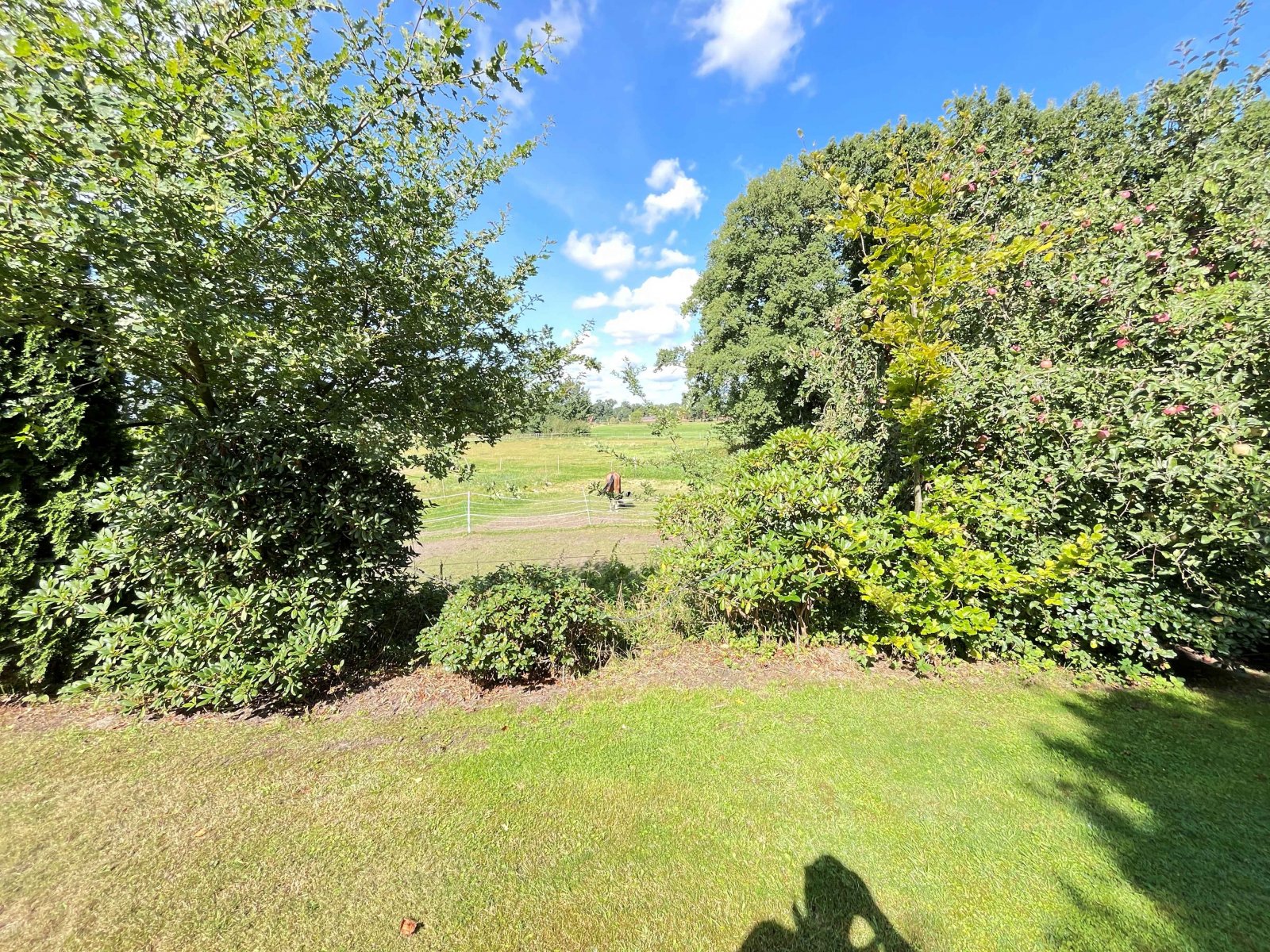 Grünflächen Grünflächen