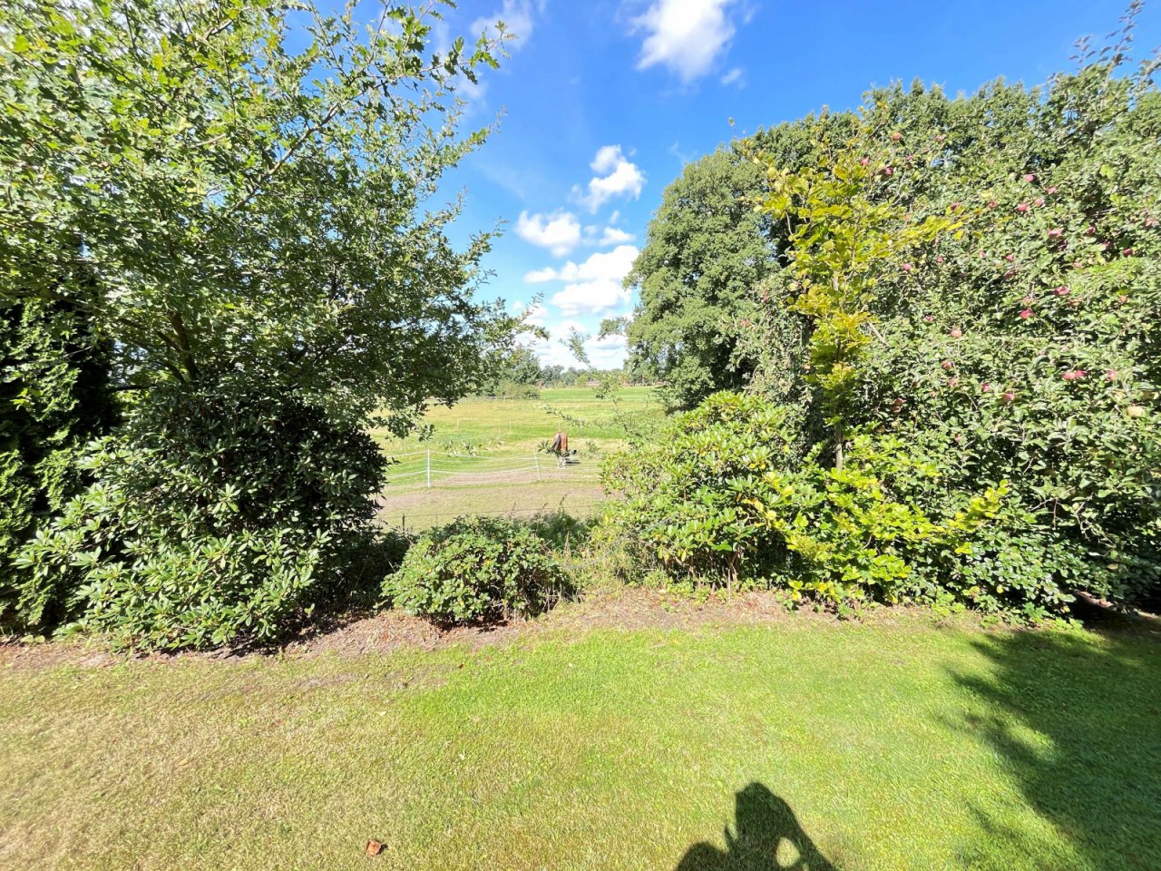 Grünflächen Grünflächen