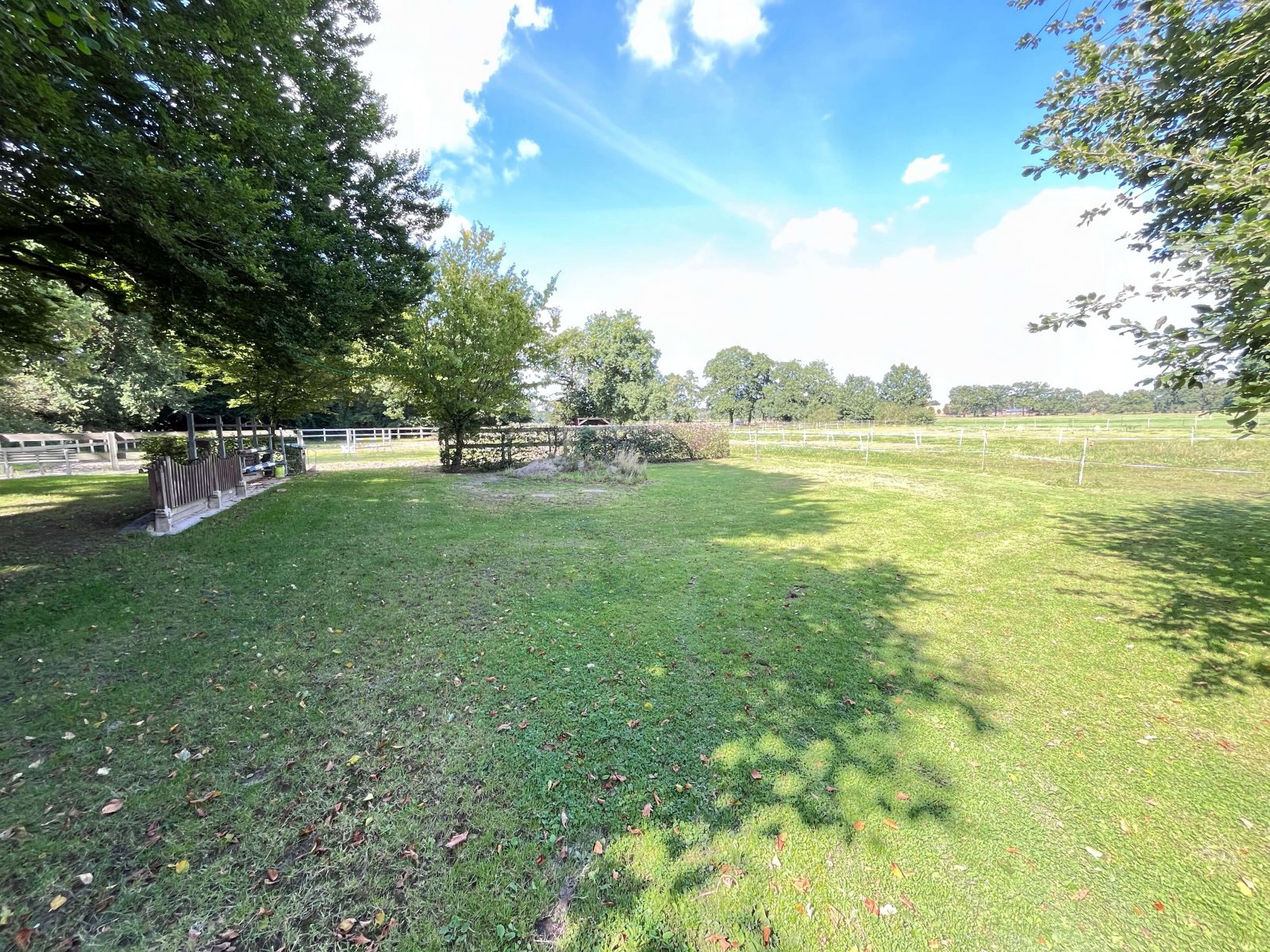 Grünflächen Grünflächen