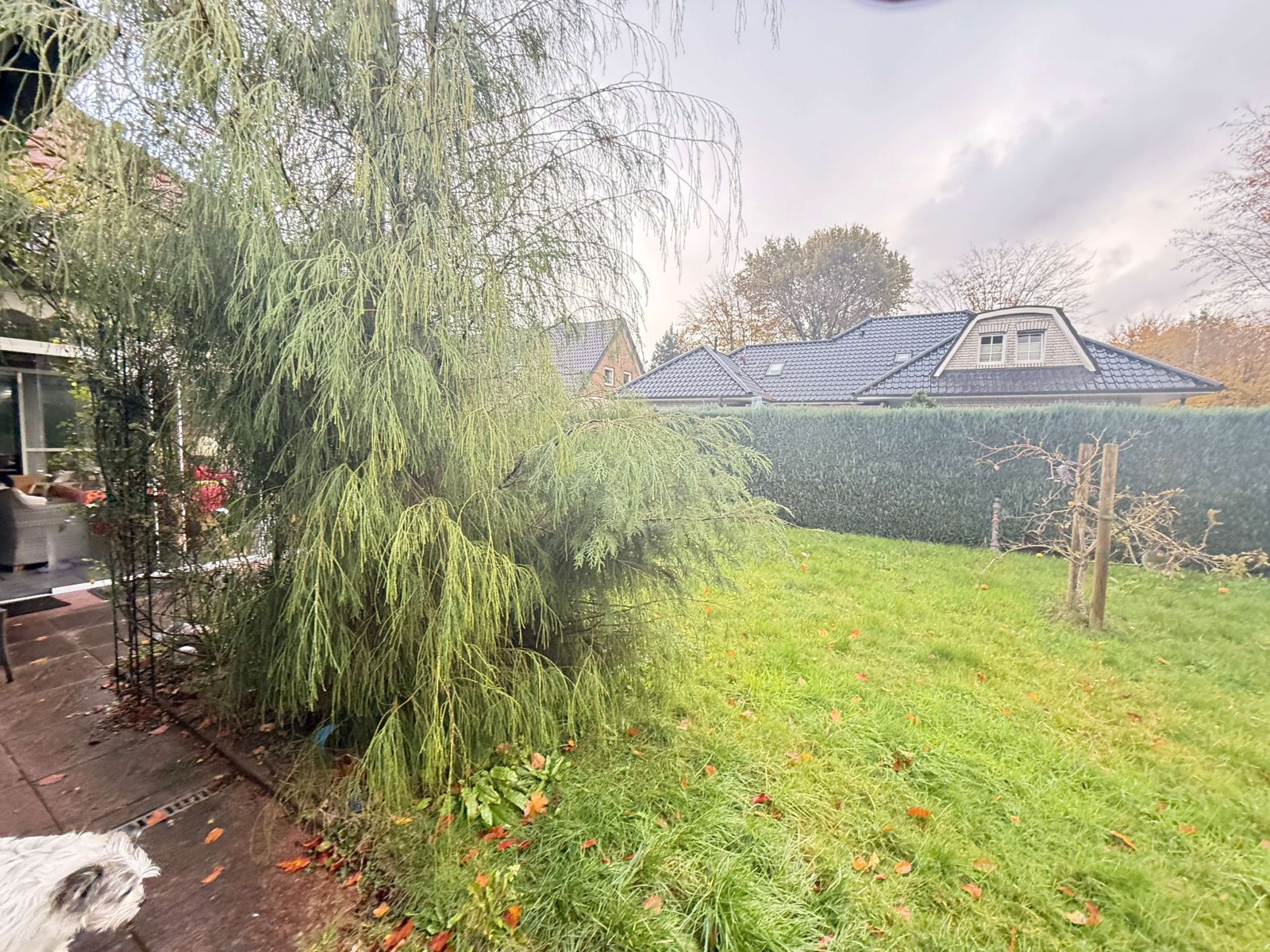 Bungalow mit Potenzial in ruhiger Lage von Lathen