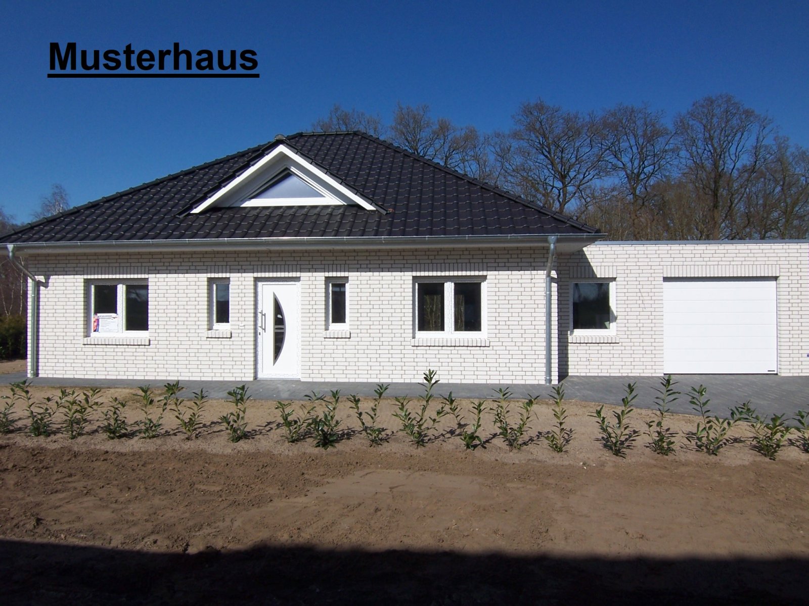 Moderner Neubau-Winkelwalmdachbungalow in ruhiger Wohnlage