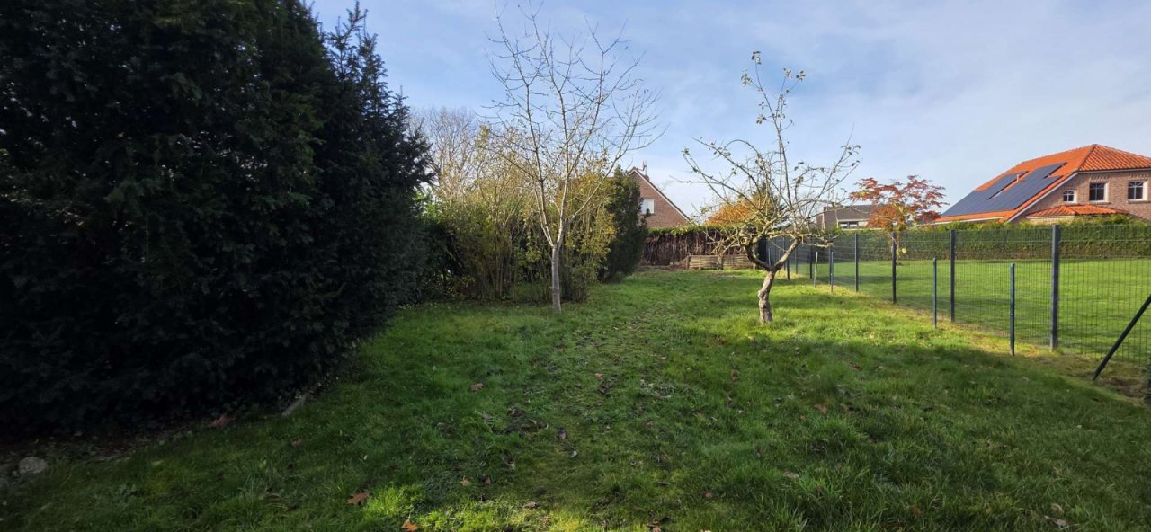 Tuin Tuin