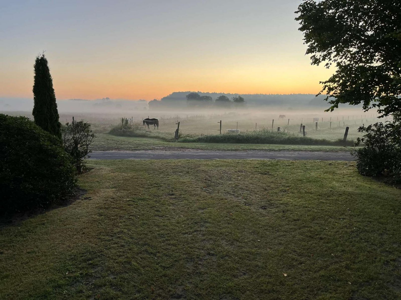 Pure natuur Pure natuur